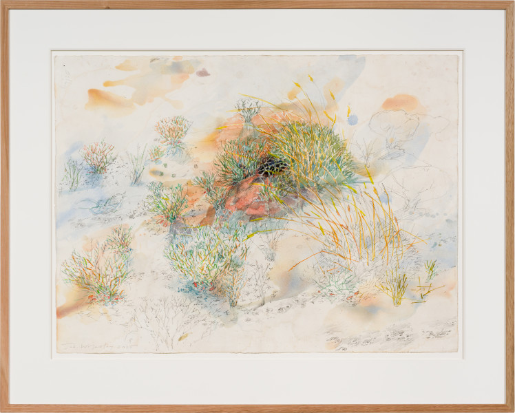 John Wolseley Greater bilby burrow, 2026; watercolour and graphite on paper; 55 x 75 cm; 77 x 96 cm (framed); enquire