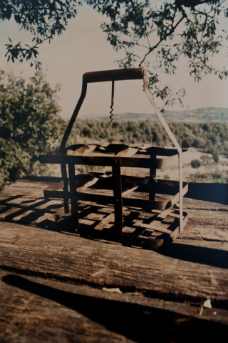 Bill Culbert Porte-bouteille II/wine carrier II, 1994; Porte-bouteille II/wine carrier II; colour photograph; 31 x 27 cm; Edition of 20; enquire