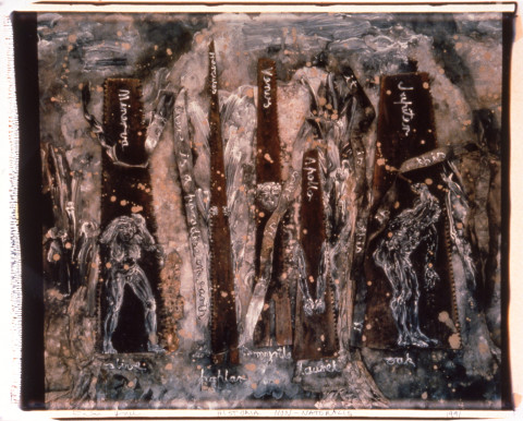 Fiona Hall Historia Non-Naturalis, 1991; polaroid photograph; 108 x 92 cm, framed; enquire