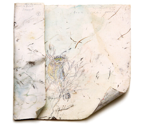 John Wolseley 17. Wathe reserve Ventifact with Singing Honeyeater, 2008; Found charcoal, graphite and watercolour on paper; 29 x 25cms (irregular); enquire