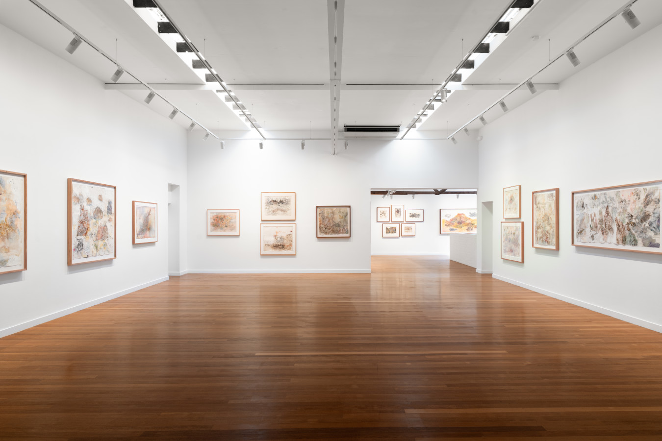 Animal Architecture: Deep Time