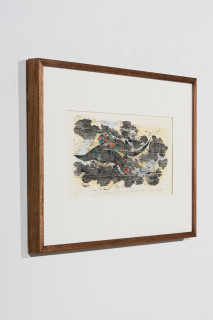 John Wolseley Great Desert Skinks III, 2026; woodcut and watercolour on Tengucho paper; 25 x 54 cm; 53 x 81 cm (framed); Edition of 20; enquire