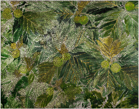 Daniel Boyd Untitled (BFS), 2017; oil and archival glue on polycotton; 168 x 213.5 cm; enquire