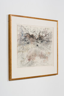 John Wolseley Palimpsest of desert tracks – Burrowing betong, Hare wallaby, Brush-tailed mulgara, Bilby and Great desert skink, 2024-25; watercolour, charcoal and graphite on paper; 56 x 76 cm; 83 x 102 cm (framed); enquire
