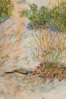 John Wolseley Yellow-throated miner sucking nectar from upside–down plants as Burrowing bettongs sleep the day away in their mazy warrens (detail), 2025; watercolour and graphite on paper; 116 x 152 cm; 134 x 168 cm (framed); enquire