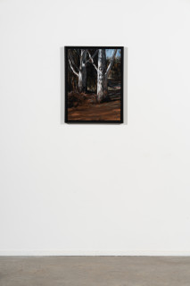 installation view; Louise Hearman Untitled #1557, 2025; oil on masonite; 61 x 46 cm; enquire
