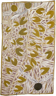 Mulkun Wirrpanda Djitama, 2015; 4797Z; Bark painting; 90 x 51 cm; enquire