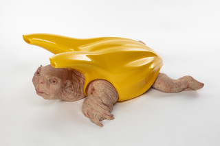 Patricia Piccinini Cleaner, 2019; fibreglass, auto paint, silicone, human hair; 30 x 70 x 90 cm; Edition of 3 + 1 AP; enquire