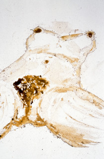 Julie Rrap Honey Ants, 1999; cibachrome photograph; 130 x 160 cm; Edition of 9; enquire