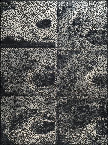 Daniel Boyd Untitled (AVLI), 2015; oil, charcoal and archival glue on polyester; 183 x 137.5 cm; enquire