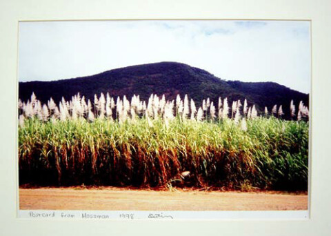 Destiny Deacon Postcard from Mossman, 1998; colour laser print; 29.7 x 42.2 cm; Edition of 15; enquire
