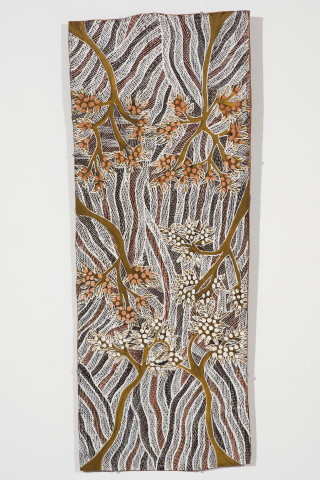 Yalmakany Marawili Wawuru/Gumbu, 2024; 7083-24; earth pigments on Stringybark; 110 x 44 cm; more info; enquire