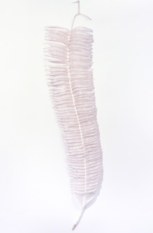 Bronwyn Oliver Quill, 1987; paper, fibreglass resin, cane; 213 x 46 x 15 cm; enquire