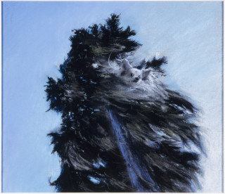 Louise Hearman Untitled #  938, 2002; pastel on paper; 32 x 23 cm; enquire