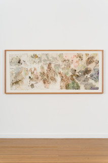 installation view; John Wolseley Mimesis - Leaf-tailed geckos on bark, moss and lichen I, 2025; watercolour, graphite, charcoal, frottage and nature prints on paper; 80 x 200 cm; 97 x 221 cm (framed); enquire