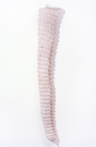 Bronwyn Oliver Husk, 1987; paper, fibreglass resin, cane; 203 x 20 x 20 cm; enquire