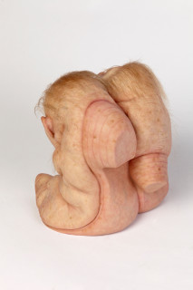 Patricia Piccinini The Loafers, 2018; silicone, resin and hair; 26 x 25.8 x 25 cm; Edition of 6 + 2 AP; enquire