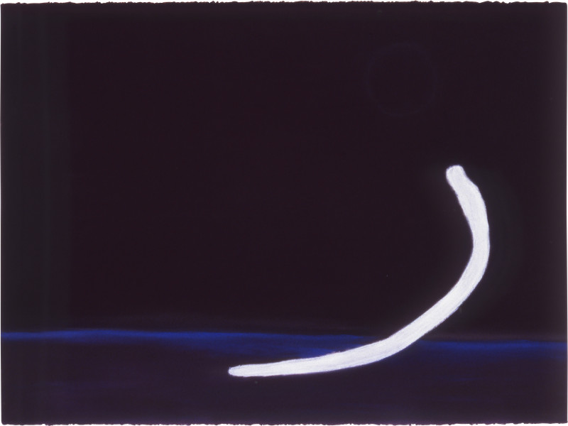 Dugong 1, 1988; pastel on paper; 56.5 x 76.5 cm