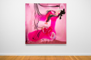 installation view; Dale Frank Fiona got a second amex after her third labiaplasty so she could keep track of the costs and the little extras, 2026; colour powder pigments in Epoxyglass, Epoxyglass, on perspex; 200 x 200 cm; enquire