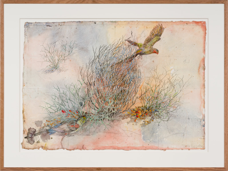 John Wolseley 'The other side of paradise' - Princess Parrot and the last Paradise Parrot, 2026; watercolour and graphite on paper; 70 x 100 cm; 95 x 125 cm (framed); enquire