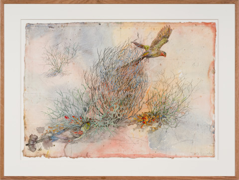 John Wolseley 'The other side of paradise' - Princess Parrot and the last Paradise Parrot, 2026; watercolour and graphite on paper; 70 x 100 cm; 95 x 125 cm (framed); enquire