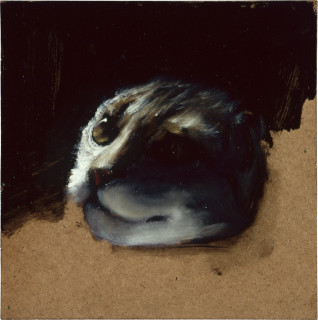 Louise Hearman Untitled #  909, 2002; oil on masonite; 30 x 30 cm; enquire