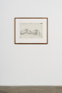 installation view; John Wolseley Lustful Bettongs Returning to Watikinpirri - Newhaven II, 2024; etching; 42 x 60 cm; 70 x 88 cm (framed); Edition of 40; enquire