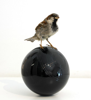 Michael Parekowhai Cock on Ball, 2007; sparrow, lawn bowl, automotive paint; 21 x 13 x 12 cm; enquire