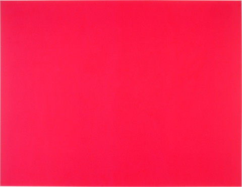 Dale Frank Moebius tubes—the useless man, 2000; acrylic on linen, fluoro; 260 x 200 cm; enquire