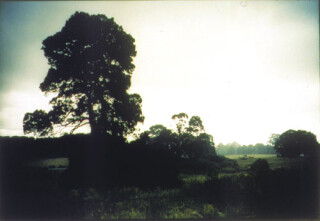 Bill Henson Untitled #9, 1998; CL SH281 N37; Type C photograph; 127 x 180 cm; (paper size) Image size: 104 x 154 cm ; Edition of 5 + AP 2; enquire
