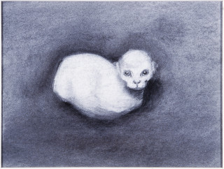 Louise Hearman Untitled #  965, 2003; pastel on paper; 22 x 29 cm; enquire