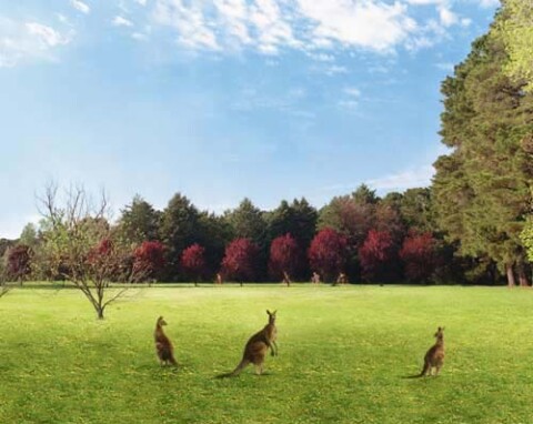 Anne Zahalka English Garden, Weston Park, Australian Capital Territory, 2004; type C photograph; 115 x 145 cm; Edition of 12; enquire