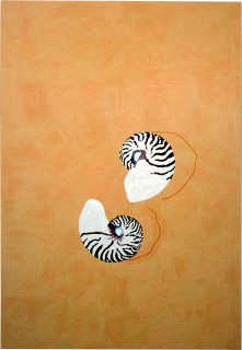 Fiona Foley Nautilus Shells, 2001; oil on linen; 151.5 x 103 cm; enquire