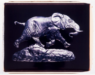 Fiona Hall Untitled, 1994; polaroid photographs; 53 x 68 cm; (image size); enquire