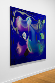 installation view; Dale Frank From previous encounters he had exhausted all possible reasons, every imaginable and amazingly unimaginable reasons as to why he could not have sex with John, 2026; colour powder pigments in Epoxyglass, Epoxyglass, on perspex; 200 x 200 cm; enquire