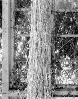 Simryn Gill #15, 1996-98; Silver gelatin photograph; 120 x 95 cm; Set of 16 images, edition of 15; Edition of 15; enquire