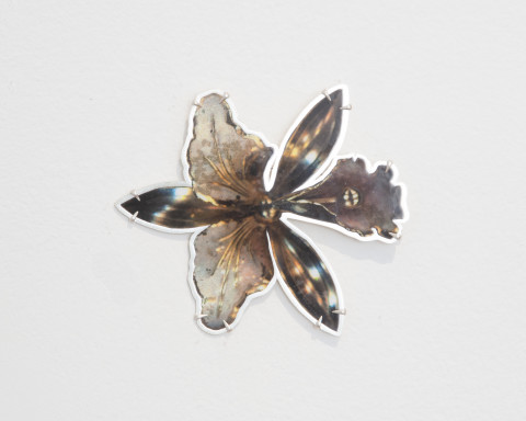 Octavia Cook Orchid Brooch, 2007; laminated colour photocopy, stg silver; Edition of 5; enquire