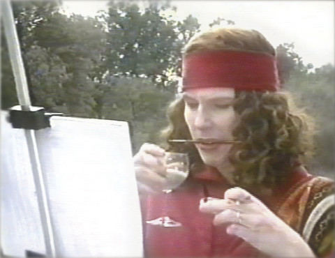 Tracey Moffatt and Gary Hillberg Artist, 2000; from the series Montages; digital video on DVD; 10 minutes; Edition of 100; enquire