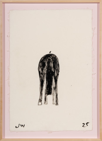 Jenny Watson Black Horse, Tiny Bird, 2025; acrylic on Japanese rice paper; 91.5 x 66.5 cm; enquire