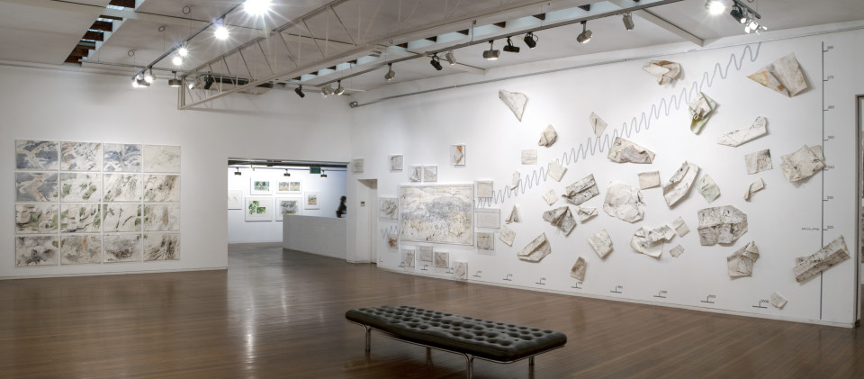 Exhibition view, John Wolseley, CARBONIFEROUS, Roslyn Oxley9 Gallery (9 September – 9 October 2010)