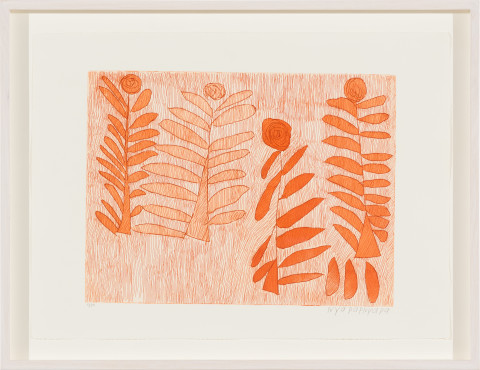 Nyapanyapa Yunupiŋu Dharpa, 2017; 3956-17; Etching; 39.5 x 52 cm; Image size: 29.5 x 39.5 cm; Edition of 30; more info; enquire