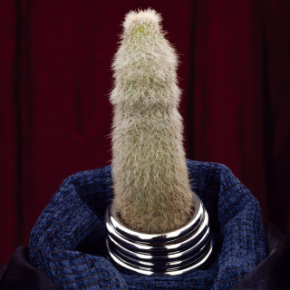 Paul Ferman Untitled (1N20), 1996; colour photograph; 30 x 25 cm; enquire