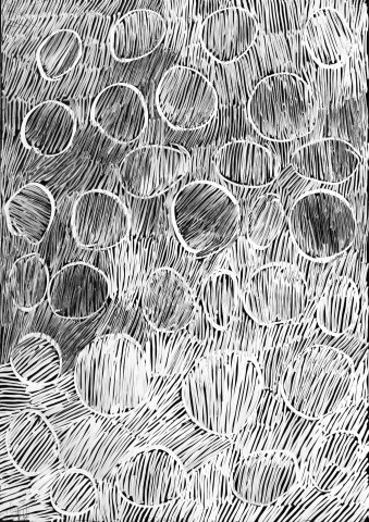 Nyapanyapa Yunupiŋu 31. Birrka'mirri 2, 2011; 4303A; paint pen on clear acetate plastic; 83.5 x 59.5 cm; enquire