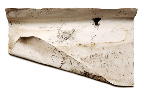 John Wolseley 16. Red Bluff Ventifact with Jacky Lizard , 2008; Found charcoal, graphite and watercolour on paper; 27 x 54cm (irregular); enquire