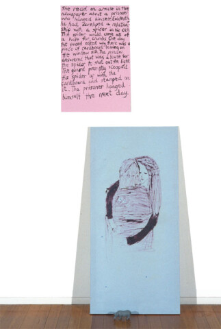 Jenny Watson Hanging 1, 1993; Oil on cotton with buttons; acrylic on stretcher; plastic rhinoceros; 155 cm x 70 cm & 61 cm x 50 cm; enquire