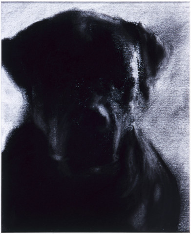 Louise Hearman Untitled #  969, 2002; pastel on paper; 28 x 23 cm; enquire