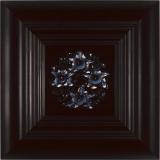 Anne MacDonald Above and Below the Grave (O), 1990; Type C colour photograph; 31 x 31 cm; enquire