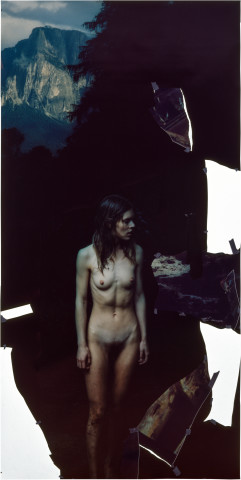 Bill Henson Untitled, 1995-96; type C photographs, adhesive tape, pins and glassine; 244 x 123 cm; enquire