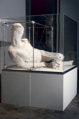 Richard Goodwin Chimera, 1983; cotton, aluminium, stainless steel, perspex; 100 x 100 x 90 cm; enquire