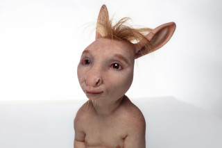 Patricia Piccinini The Pacifist, 2023; silicone, resin, towelling, hair; 35 x 19 x 25 cm; Edition of 6 + 2 AP; enquire
